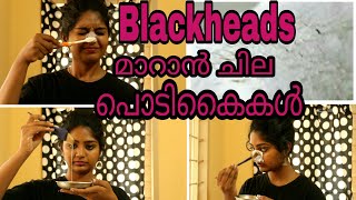 👃How to remove Blackheads from nose at homeNaturally in MALAYALAM SimplyMyStyle [upl. by Nuy]