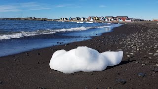 Erlebnisausflug Diskoinsel Grönland  Wo die Eisberge stranden  Qeqertarsuaq  Kreuzfahrt [upl. by Anita]