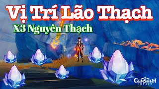 Tìm Lão Thạch Vực Đá Sâu Genshin Impact l Find Archaic stone The Chasm Genshin Impact [upl. by Ylim]