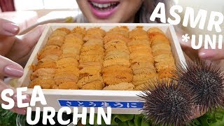 Sea Urchin UNI  ASMR No Talking Eating Sounds  NE Lets Eat [upl. by Leraj]