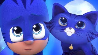 Gekkos Funny Moments  PJ Masks Official [upl. by Everson]