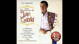 Solo Se Que Fue En Marzo  Juan Gabriel [upl. by Sevein790]