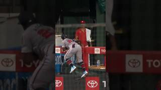 You Have to See This Home Run Robbery atlantabraves mlb baseball [upl. by Macdonell600]