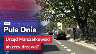 Zniszczone drzewa w centrum Poznania Jest kontrola inwestycji Urzędu Marszałkowskiego [upl. by Sulamith]