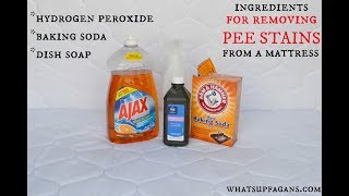 How to Remove Pee Stain and Smell from a Mattress [upl. by Ellenrahc953]