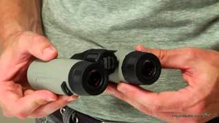 Bushnell Natureview 8x32 Roof Prism Binoculars  Product Review Video [upl. by Colfin]