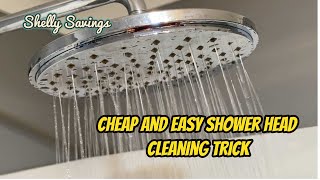 Cheap and Easy Way to Clean your Shower Head [upl. by Lletnwahs]