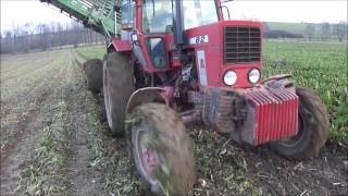 Kampania Buraczana EXTREME  Wtopy  Mtz82  Zetor 7745  Stoll V202  Lubelskie [upl. by Stanway]