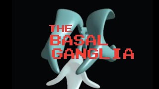 Neuroanatomy The Basal Ganglia [upl. by Eeima]