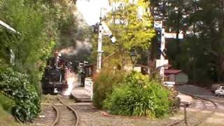 Puffing Billy Thomas Day Part 1 [upl. by Aneehsirk]