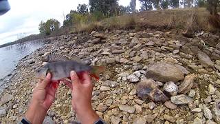 Googong Dam fishing [upl. by Suisyola]