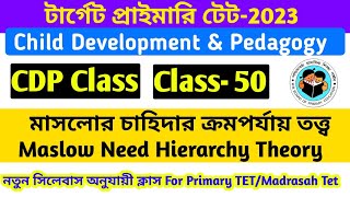 Maslows Hierarchy of Needs  Maslow Motivation Theory in Bengali  Child Development amp Pedagogy [upl. by Yelrebmyk]