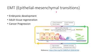 Cancer EMT EpithelialMesenchymal Transitions Epigenetic Priming Code 79 [upl. by Ecaidnac456]