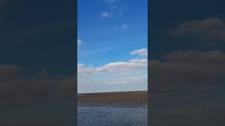 Fly past from Cleethorpes beach this afternoonx [upl. by Leese]