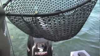 Odell Lake Kokanee amp Diamond Lake Trout Fishing Tactics [upl. by Mignonne187]