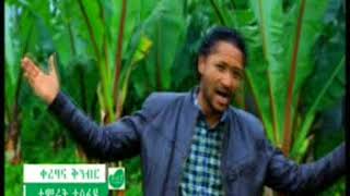 guragigna song birhanu kemal á‹¨â·œá‰³áŠ“ á‹ˆáŒ [upl. by Attemaj196]