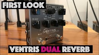 Ventris Dual Reverb by Source Audio  First Look [upl. by Ybocaj]