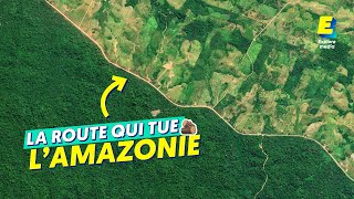 Comment cette route a détruit la forêt amazonienne  ATLAS [upl. by Frederich174]