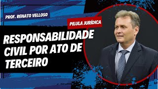 Pílula Jurídica RESPONSABILIDADE CIVIL POR ATO DE TERCEIRO  Prof Renato Velloso [upl. by Bowman754]