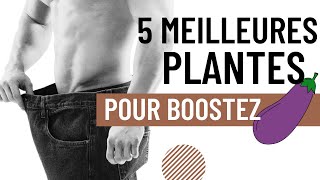 5 Plantes pour la Vitalité Masculine [upl. by Georgianne]