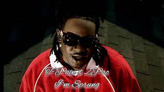 TPain x 2Pac  Im Sprung Remix [upl. by Lirret]