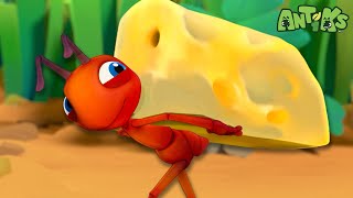 Its a Gouda Day to Be an Ant 🧀  🐜 Antiks 🐜  Funny Cartoons for Kids  Moonbug [upl. by Suh985]