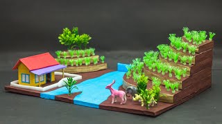 Terrace Farming Model  Science Projects [upl. by Cire]