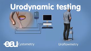 Urodynamics for overactive bladder [upl. by Eive]