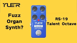 YUER RS19 Talent Octave｜Mini Pedal Sound Check [upl. by Atsyrk]