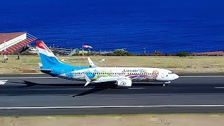 Live Madeira Airport [upl. by Alicul475]