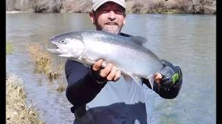 Fishing The Applegate River in Southern Oregon with Fishing The Rogue [upl. by Penland]