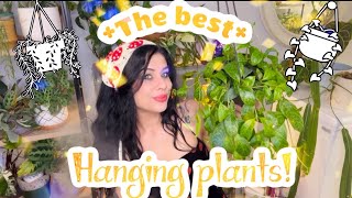 The BEST Hanging  Trailing Houseplants You NEED these Plants in your home 🌱 [upl. by Nomma]