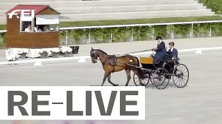 RELIVE  Dressage Competition Part II  FEI Driving World Championship for Singles [upl. by Yawnoc]