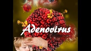 Adenovirus [upl. by Annawat535]