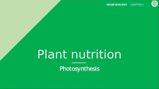 Plant Nutrition  IGCSE Biology  Topic Explainer  ZNotes [upl. by Longawa313]