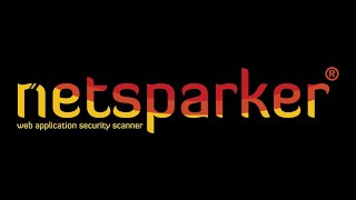 Netsparker Web vulnerability Scanner [upl. by Ailongam]