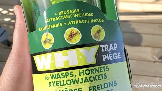 Trap WASPS HORNETS AND YELLOWJACKETS with The WHY TRAP and get ride of them for good [upl. by Maddis]