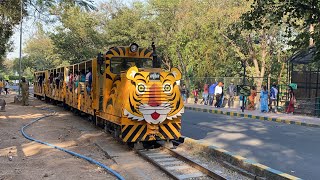 Hyderabad Zoo Park 2024  Nehru Zoological Park  Zoo Park in Hyderabad  Bahadurpura  Telangana [upl. by Yazbak]