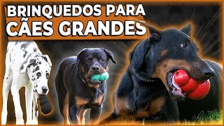 Cinco MELHORES BRINQUEDOS para cães de GRANDE PORTE e destruidores brinquedosparacaes TOP 05 [upl. by Alwyn]