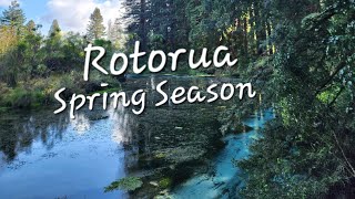 Rotorua Spring Season [upl. by Irpak]