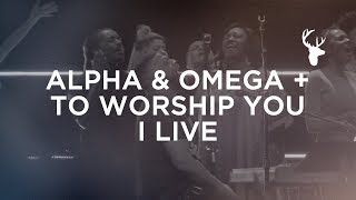 Alpha amp Omega  To Worship You I Live  Alton Eugene  Bethel Worship [upl. by Jairia198]