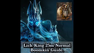 WOTLK Classic Lich King 25m Boomkin guide [upl. by Aisyram]