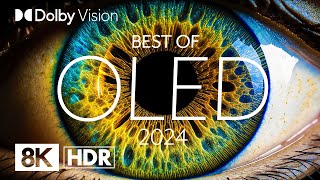 BEST OLED 2024  DOLBY VISION® 8K HDR [upl. by Lemcke953]