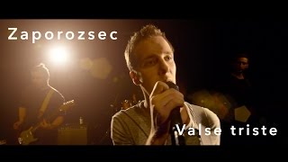 Zaporozsec  Valse triste Official Music Video [upl. by Arnst667]