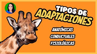 Tipos de Adaptación biológica  Estructural fisiológica y etológica  Evolución [upl. by Paulita]