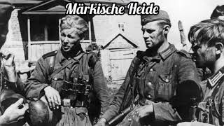 Märkische Heide [upl. by Aselehc]