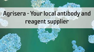 Agrisera  Your local antibody and reagent supplier [upl. by Jacklyn806]