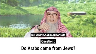 Do Arabs came from Jews  Sheikh Assim Al Hakeem [upl. by Warfeld]