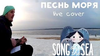 Песнь Моря  Song of the Sea Live Cover [upl. by Nemaj]