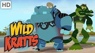 Wild Kratts 🦛 Hippos vs Crocodiles  Kids Videos [upl. by Jacinda]